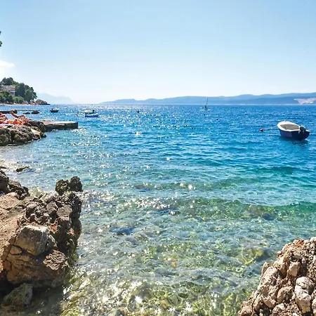 Pet Friendly In * Stanici